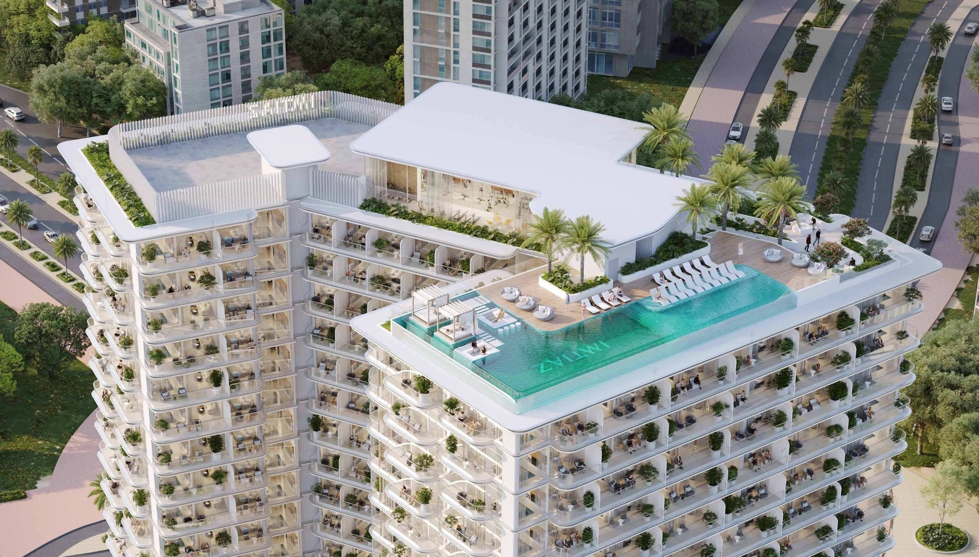 Cove Grand 5