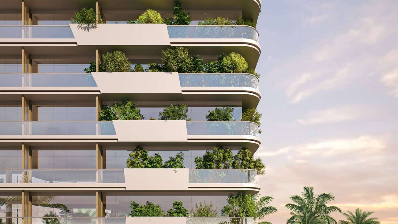 Forest City 2